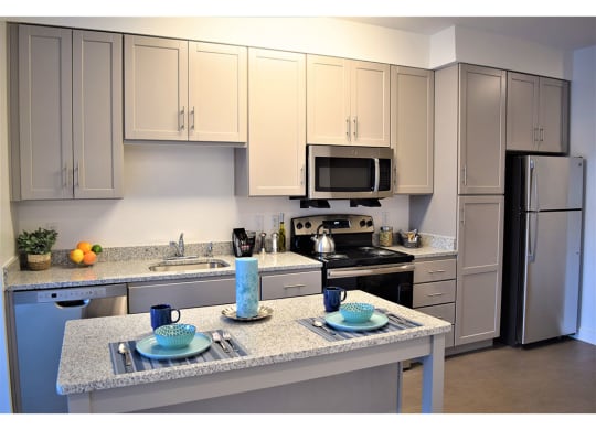 Fully Equipped Kitchen With Modern Appliances at Apex Apartments, Arlington, Virginia