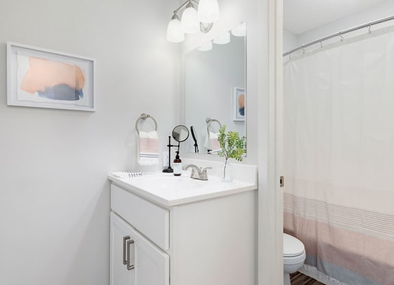 Photos and Video of Tylia Apartments in Maple Grove, MN