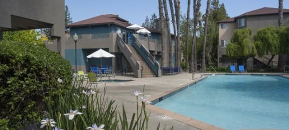 Poolside at Sharps & Flats in Davis, CA 95618