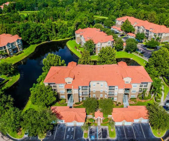 New Tampa Apartments Portofino Apartment Homes