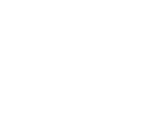 Aster Meadow