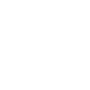 Village Fair