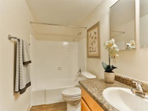 Bathroom with Luxurious Garden Tub and Marble Countertops at Paradise Palms, Arizona