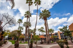 Exterior and landscaping at Casa Bella Apartments in Tucson AZ 4-2020