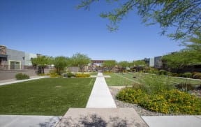 Lawn Games at Avilla Victoria in Queen Creek Arizona 2021