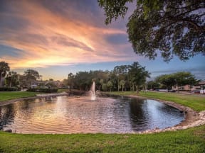 fountains at forestwood sunset lake view