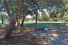 Shaded picnic area | Monterey Ranch