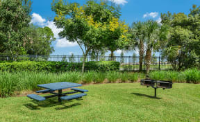 Picnic and grill area | Yacht Club