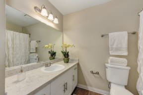 Bathroom with Toilet, Hardwood Inspired Floor, Vanity, and Sink