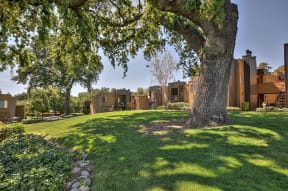 Beautiful landscaping and green grass area around a large oak tree with views of the buildings in the distance.