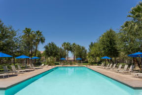 Mediterra Apartment Homes Lifestyle - Pool