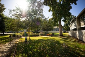 Beautiful Grounds at Sixty58 Townhomes in Sacramento, CA