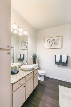Spacious Bathrooms with Raised Bowl Bathroom Sinks at Aventura at Forest Park, Missouri