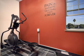 Pet-Friendly Apartments in San Jose, CA - Aviara Apartments Fully Equipped Gym with Weight and Machinery