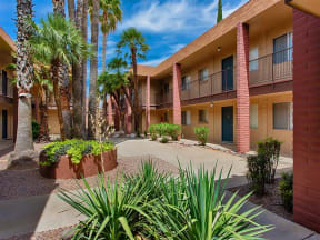 Lush landscaping at Fountain Plaza Apartments, 2345 N. Craycroft, Tucson, AZ
