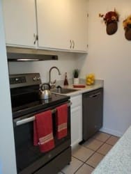 Floor Plan 1 Bed 1 Bath