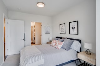 Spacious Bedroom with Lots of Natural Light