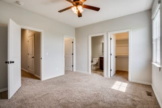 Carpeted Bedroom With Ceiling Fan &amp; Light
