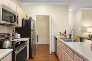 sonterra kitchen