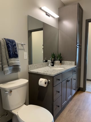 Bliss (1 bed, 1 bath) in Slate finish Large vanity and linen storage in the Bliss floor plan in Slate finish at Haven at Uptown in Lincoln.