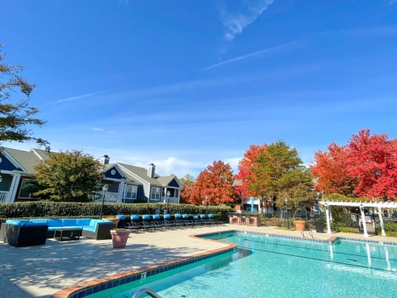 Pool with fall colors in trees