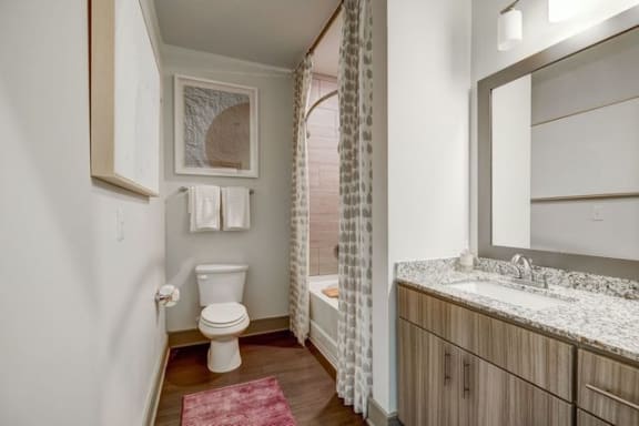 Luxurious Bathroom at Artesia Big Creek in Alpharetta, GA