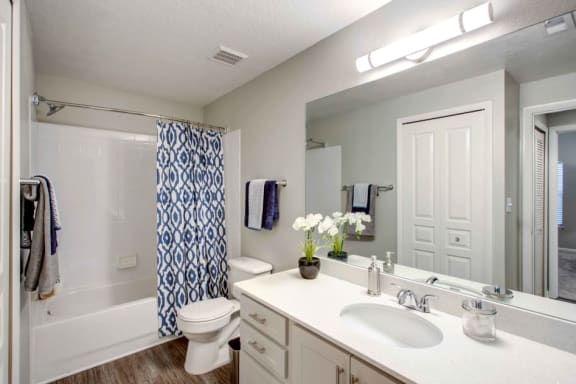 Modern Bathroom at The Preserve at Westchase in Tampa, FL