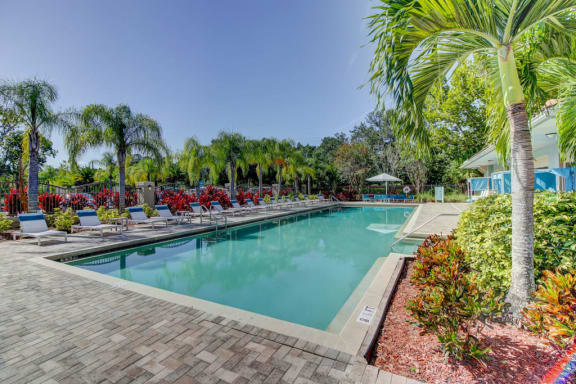 pool with sundeck at the preserve at westchase in tampa florida