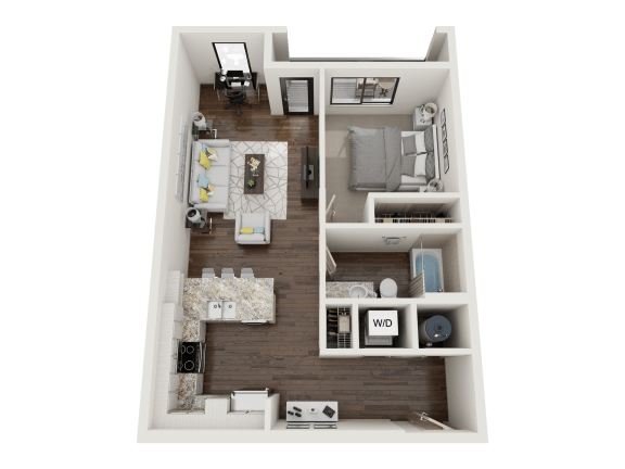 Levison 3D