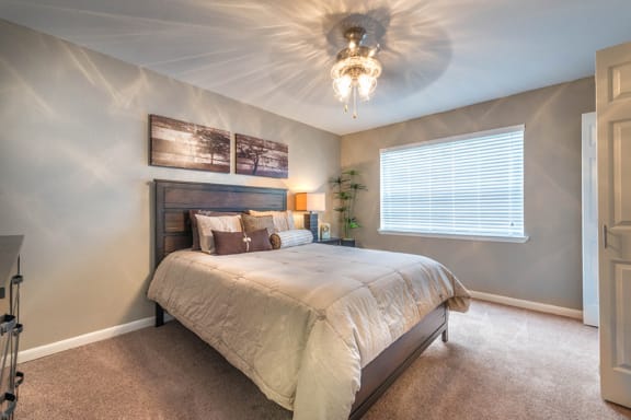 large bedrooms with ceiling fans and plush carpets