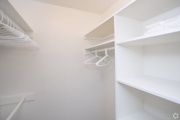 Large walk-in closet and storage space