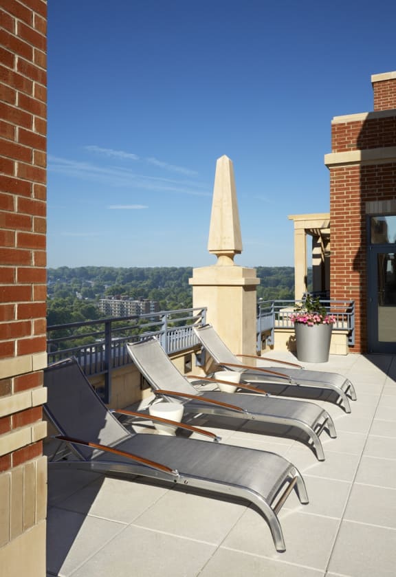 Best Apartment Rentals in Pentagon City Arlington VA Gallery