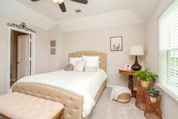Lavish Bedroom Lavish Bedroom at Pradera Oaks, Bonney, Texas