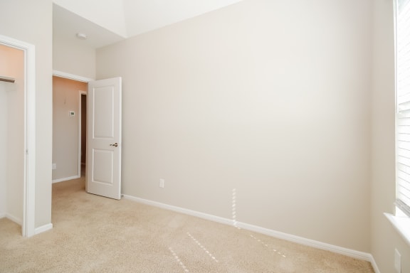Spacious Bedroom with Walk-In Closet
