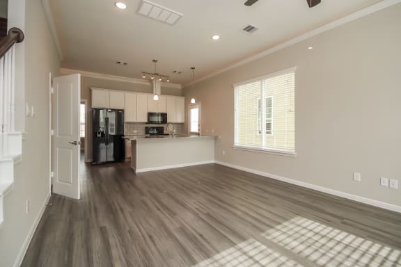 Open Concept Living Area and Kitchen with Stainless Steel Appliances  at Pradera Oaks, Bonney, TX