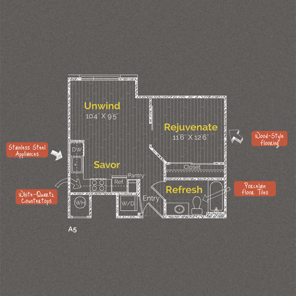1 bedroom 1 bathroom Floor plan at The Maxwell Apartments, Virginia