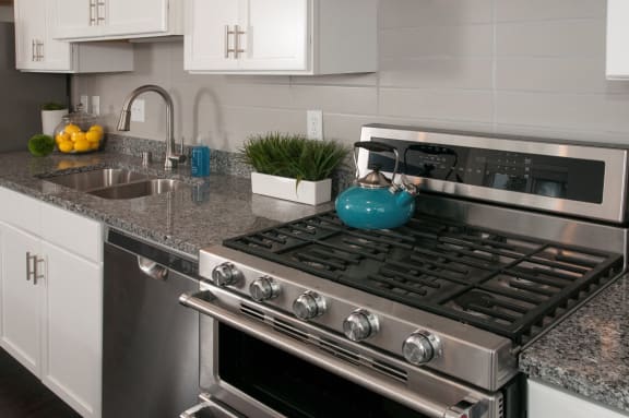 Gas Cooking at Victoria Flats, Victoria, MN 55386
