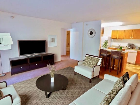 Pine Tree_Model Living Room