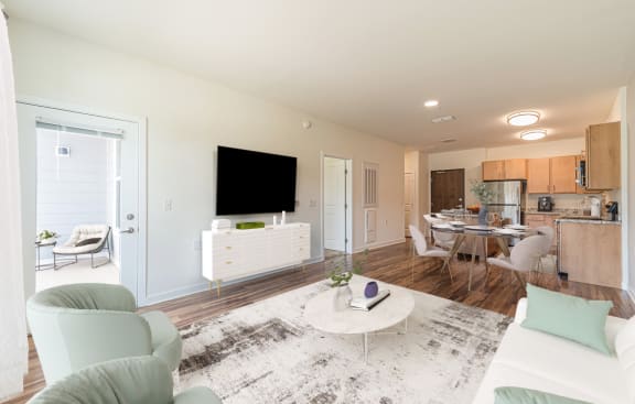 Dominium-Preserve at Peachtree Shoals-Virtually Staged Apt Overview