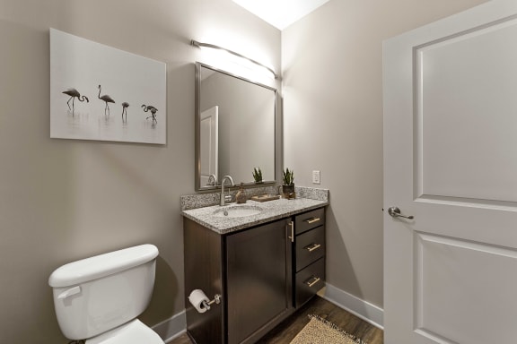 Updated Bathrooms at Mezzo 1 Luxury Apartments, North Carolina, 28211