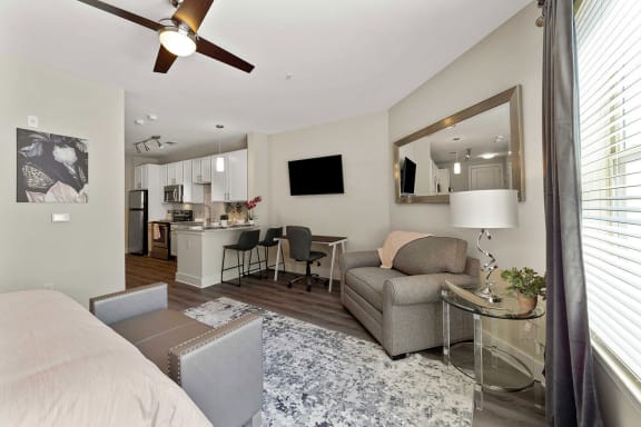 Living Room With Television at Mezzo 1 Luxury Apartments, Charlotte, NC, 28211