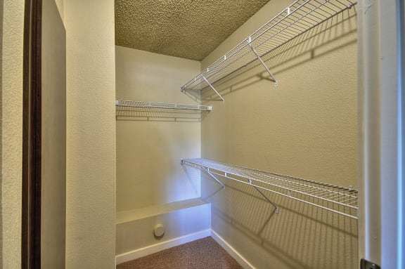 Vacant apartment home extended closet two shelving at multiple heights.