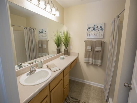Primary Bath with Shower Primary Bath with Shower