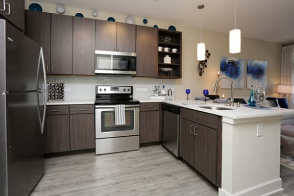 Upscale Stainless Steel Appliances at Link Apartments&#xAE; West End, Greenville, SC