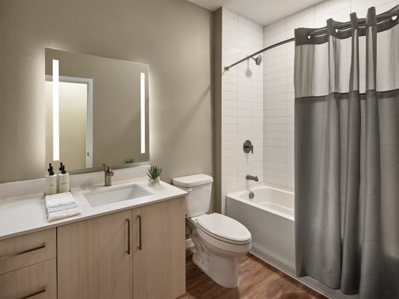 Luxurious Bathroom at AVE Tampa Riverwalk, Florida
