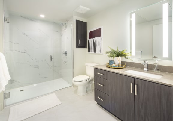 All glass shower Luxurious High End The Q Topanga Woodland Hills California