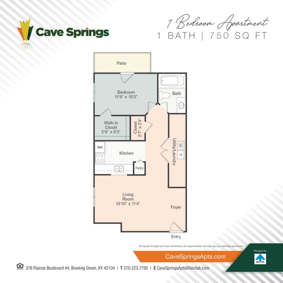 1 bed 1 bath floor plan at Cave Springs, Bowling Green, 42104