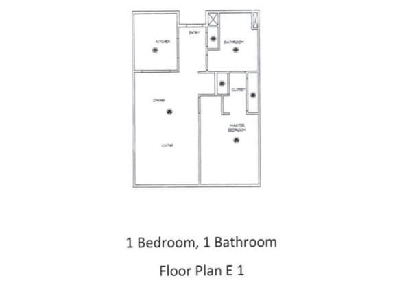 1 Bed - 1 Bath, 994 sq ft, floorplan E1