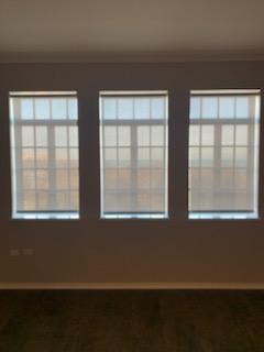 Roller Shades at Park Heights by the Lake