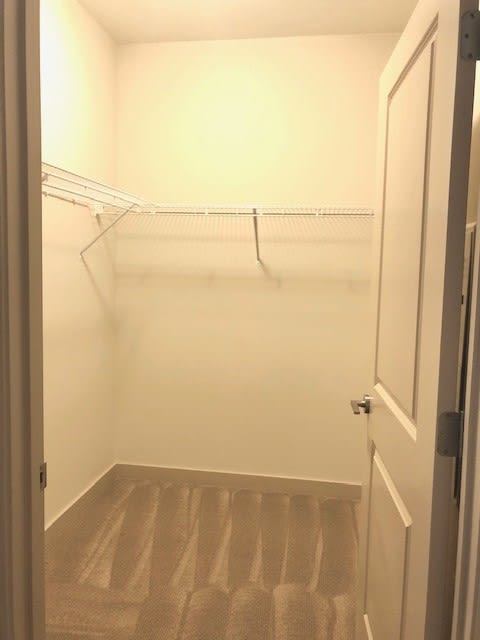 Large Closets at Station 40, Tennessee, 37209